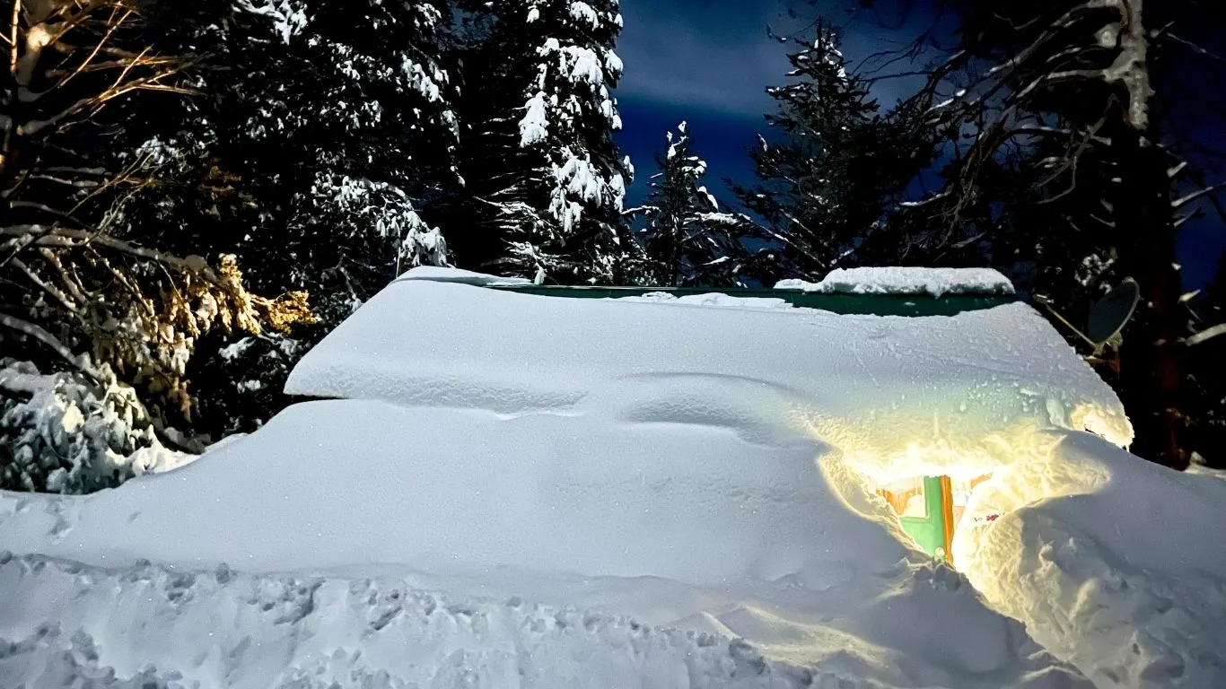 Sequoia Field Station